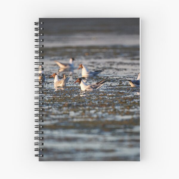 Item preview, Morning routine designed and sold by Andreas Koerner.