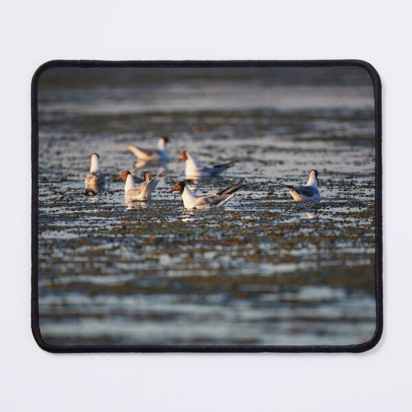 Item preview, Morning routine designed and sold by Andreas Koerner.