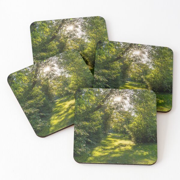 Item preview, Sunlit Path on Toronto Islands designed and sold by jrtwynam.