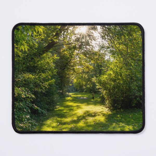 Item preview, Sunlit Path on Toronto Islands designed and sold by jrtwynam.