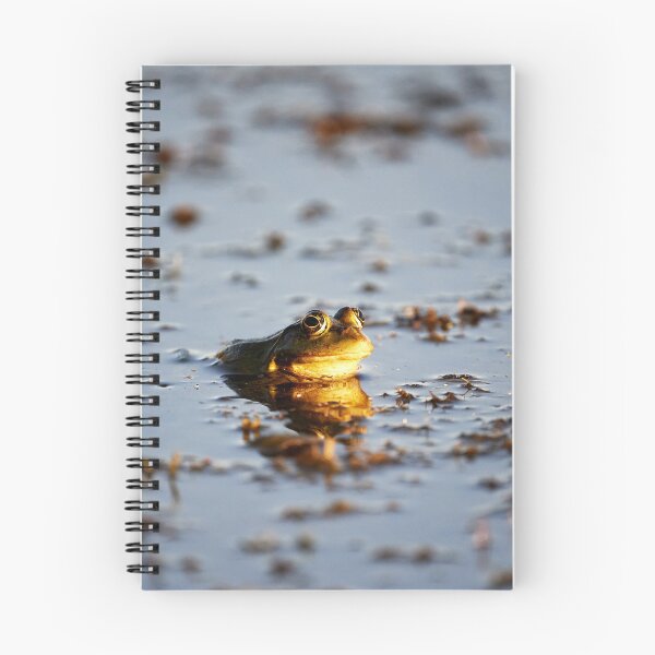 Item preview, Quack designed and sold by Andreas Koerner.