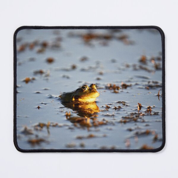 Item preview, Quack designed and sold by Andreas Koerner.