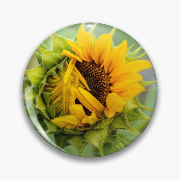 Item preview, Sunburst designed and sold by CalamithiArt.