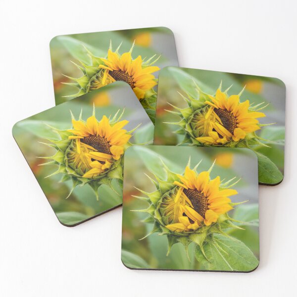 Item preview, Sunburst designed and sold by CalamithiArt.
