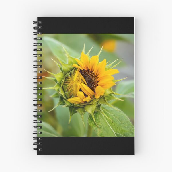 Item preview, Sunburst designed and sold by CalamithiArt.