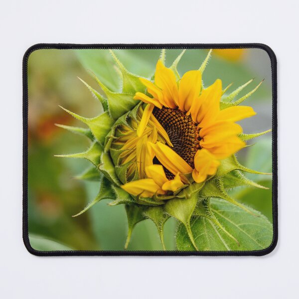 Item preview, Sunburst designed and sold by CalamithiArt.
