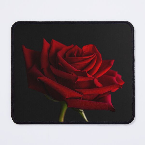Item preview, RED ROSE ON BLACK designed and sold by linda-kasian art photography.