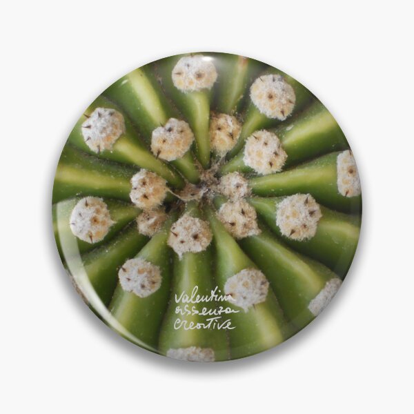 Item preview, Echinocactus plant photography designed and sold by ValentinaAssenza.