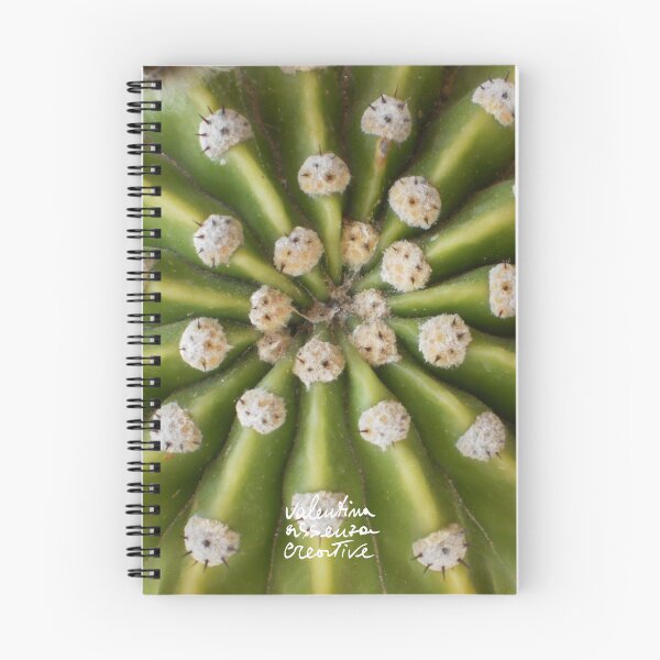 Item preview, Echinocactus plant photography designed and sold by ValentinaAssenza.