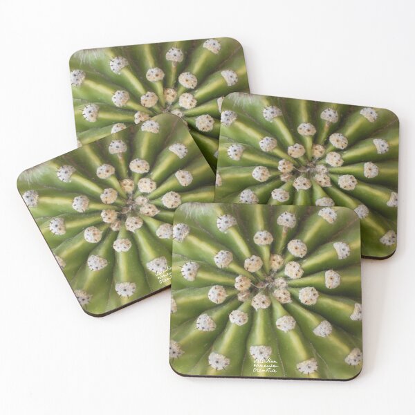 Item preview, Echinocactus plant photography designed and sold by ValentinaAssenza.