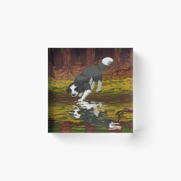 Item preview, Border Collie Reflection Out for a Walk art print dog beautiful nature countryside trees pond river pet designed and sold by pinkpawsdraws.