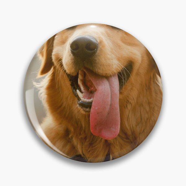 Artikelvorschau, Golden Retriever Hundefoto entworfen und verkauft von daasaymen835.