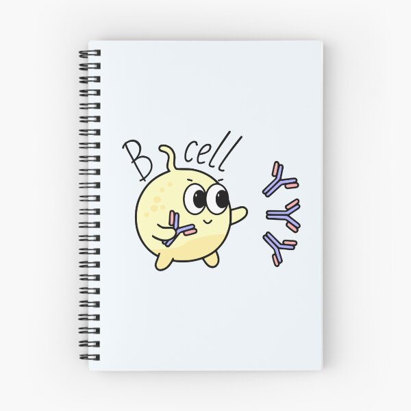 Item preview, Cute B lymphocyte (Bcell) - Cute immune cells designed and sold by MicroMarket.