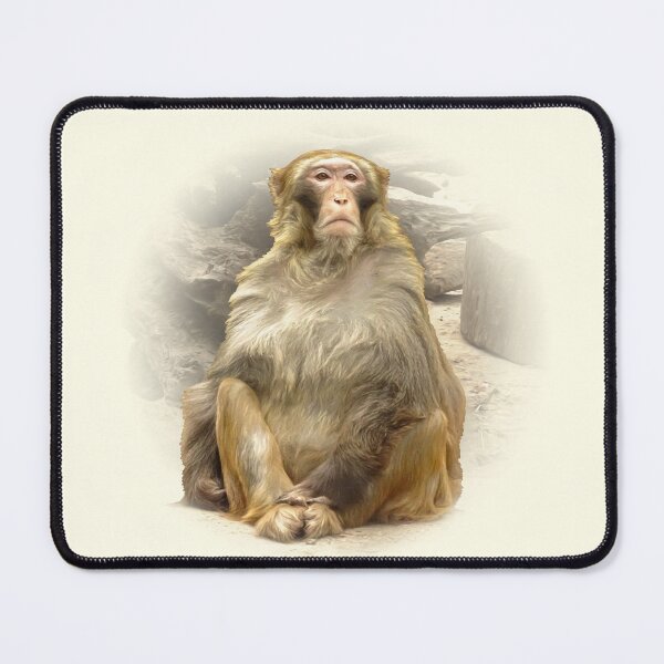 Item preview, Rhesus Macaque designed and sold by Guardi71.