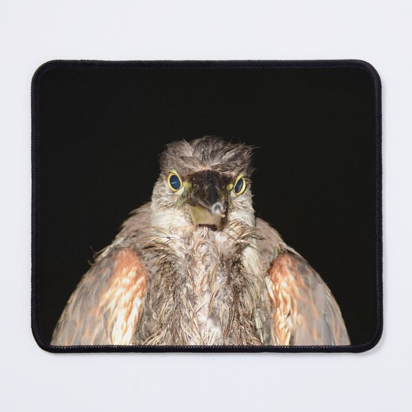 Item preview, A heron looking straight at me designed and sold by Bernhard Adams.