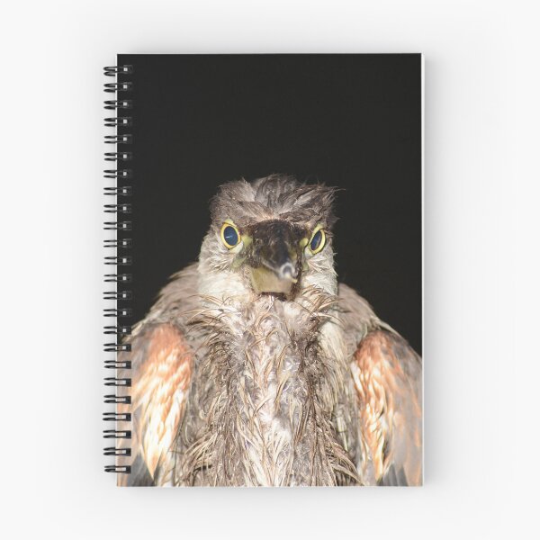 Item preview, A heron looking straight at me designed and sold by Bernhard Adams.
