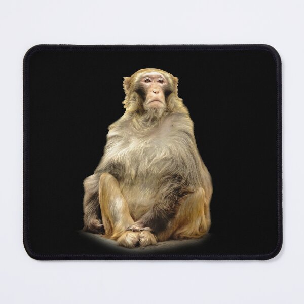Item preview, Rhesus Macaque designed and sold by Guardi71.
