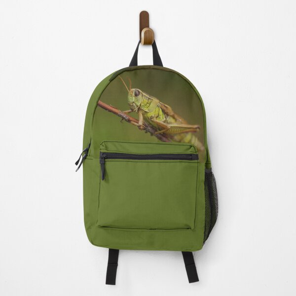 Item preview, A green grasshopper designed and sold by Production Art Manon Meilleur.