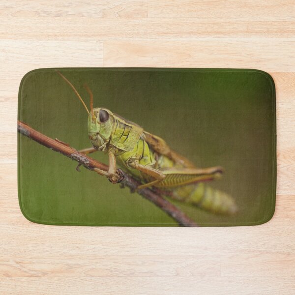 Item preview, A green grasshopper designed and sold by Production Art Manon Meilleur.