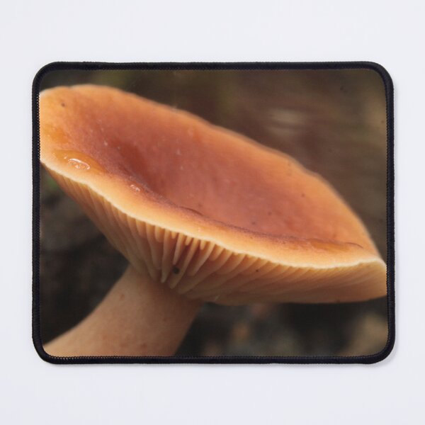 Item preview, Leaning Orange Mushroom designed and sold by WolfNoodles.