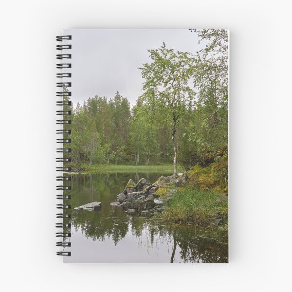 Item preview, Stones birches and rowans. Kuusamo, Pieni karhunkierros 2025 designed and sold by Jouko Lehto Photography.