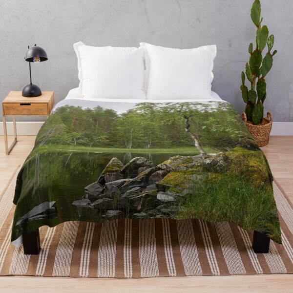 Item preview, Stones birches and rowans. Kuusamo, Pieni karhunkierros 2025 designed and sold by Jouko Lehto Photography.