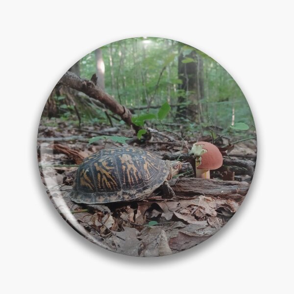 Item preview, Turtle Monching on Mushroom designed and sold by WolfNoodles.