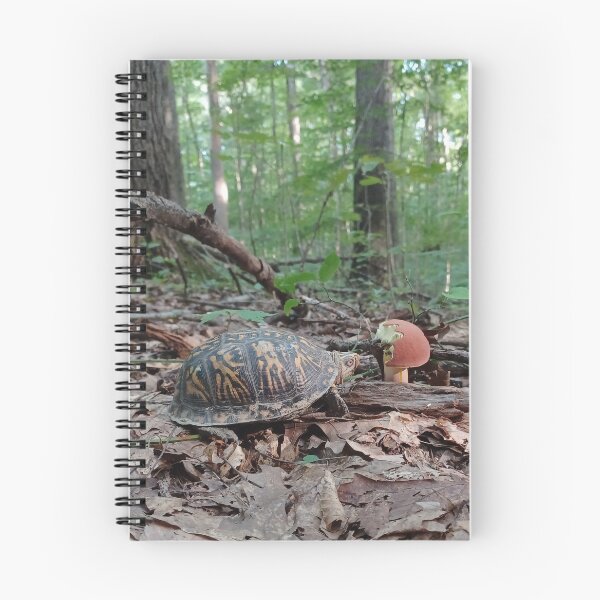 Item preview, Turtle Monching on Mushroom designed and sold by WolfNoodles.
