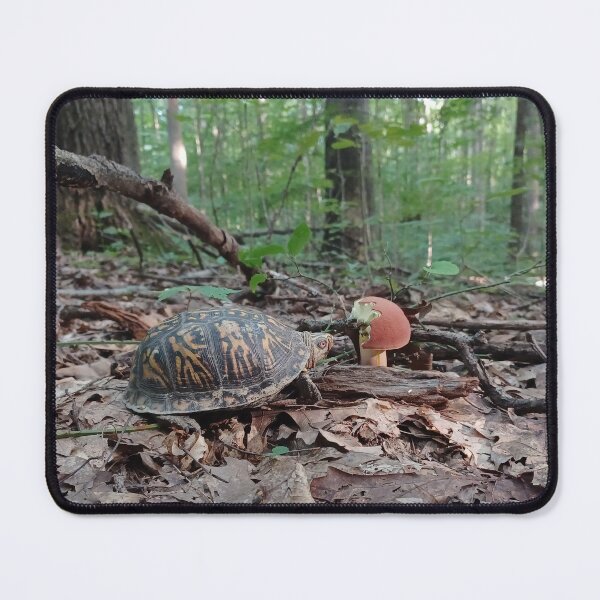 Item preview, Turtle Monching on Mushroom designed and sold by WolfNoodles.