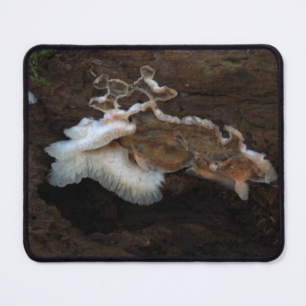 Item preview, Trembling Crust Fungus designed and sold by WolfNoodles.