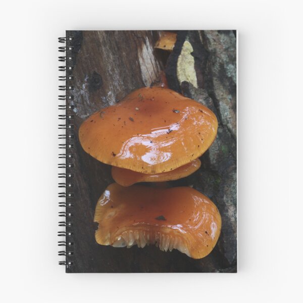 Item preview, Viscous Velvet Shank Mushroom designed and sold by WolfNoodles.