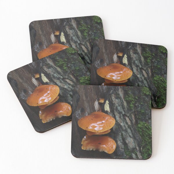 Item preview, Viscous Velvet Shank Mushroom designed and sold by WolfNoodles.