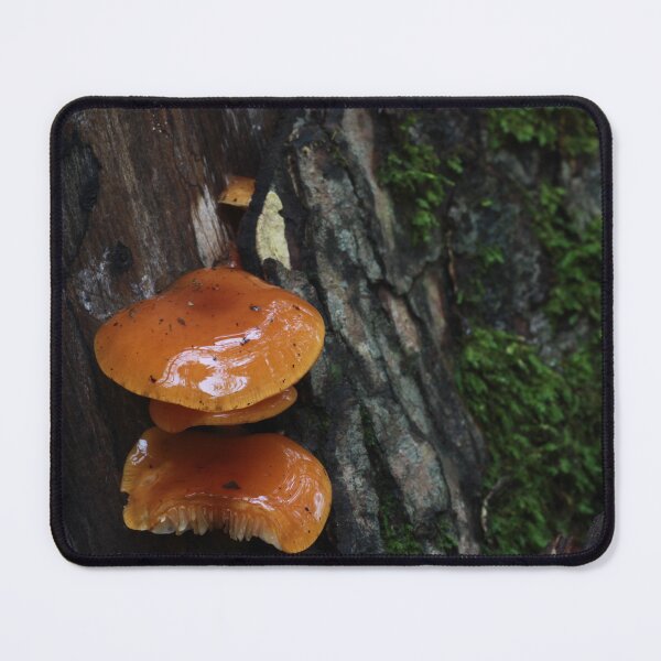 Item preview, Viscous Velvet Shank Mushroom designed and sold by WolfNoodles.