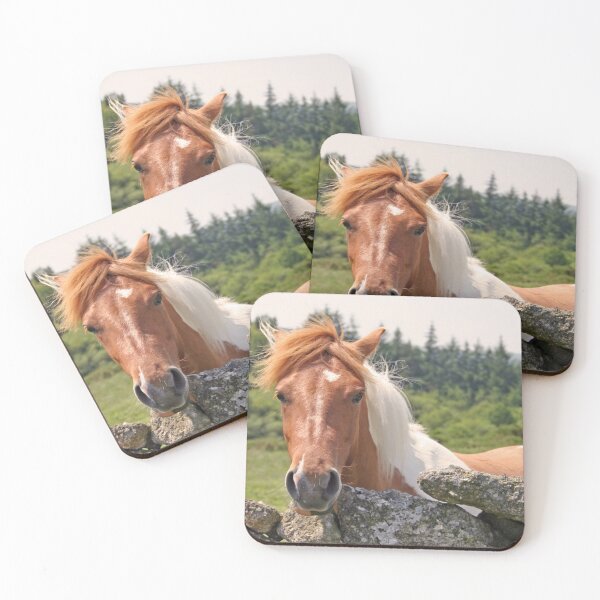 Item preview, Dartmoor pony designed and sold by artsmeow.