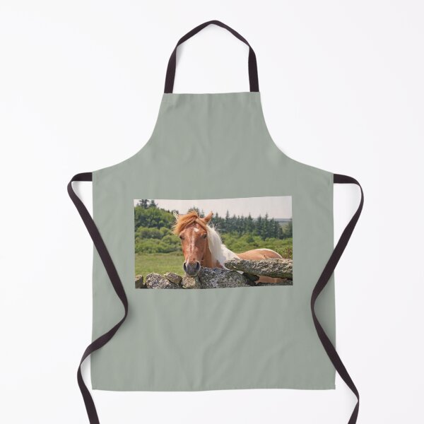 Item preview, Dartmoor pony designed and sold by artsmeow.