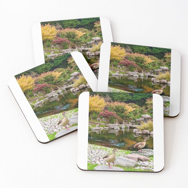 Item preview, Autumnal London, Holland Park, October 2025 designed and sold by The Running London Photographer.