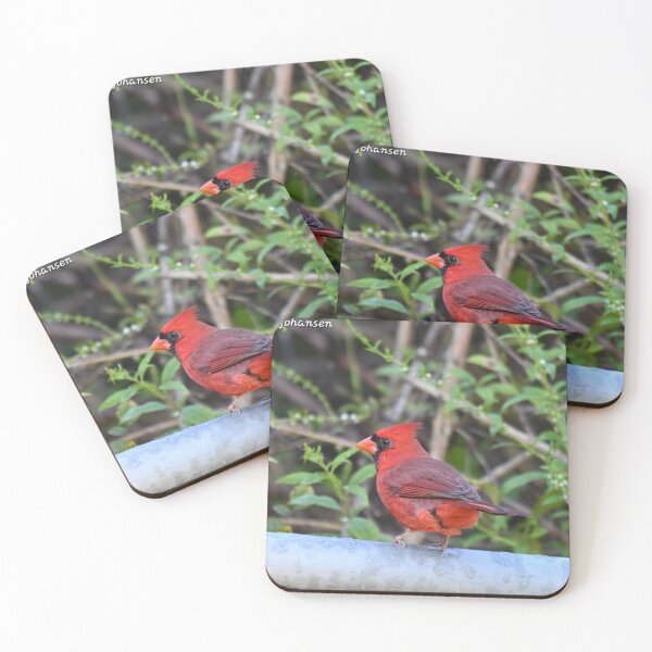Item preview, Cardinal comes to visit  designed and sold by Glennphotos.
