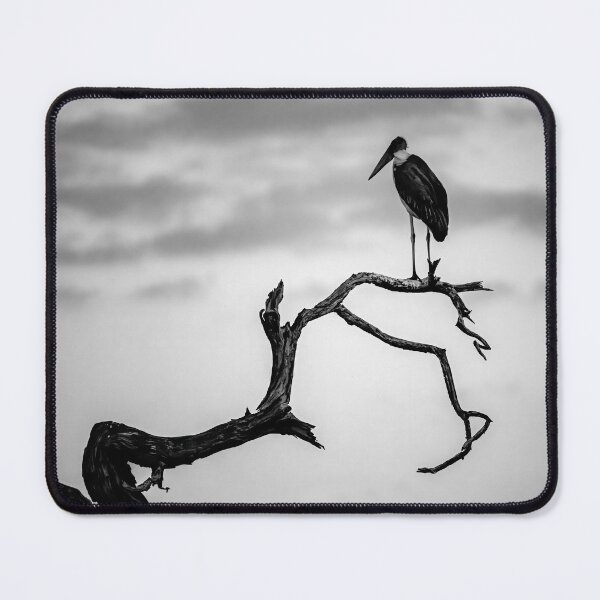 Item preview, Quiet Sentinel — Marabou on a Sculptural Branch (Black & White) designed and sold by DavideAntoniani.
