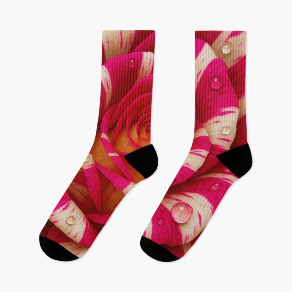 Item preview, Vivid Pink and Cream Bi-Color Rose Close-Up with Water Droplets Macro Floral Spiral designed and sold by AnTartstudios.