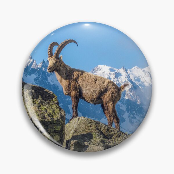 Item preview, Alpine Ibex In Aiguilles Rouge French Alps France designed and sold by eclecTEEq.