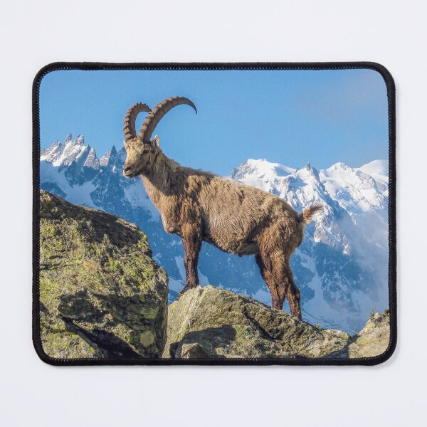 Item preview, Alpine Ibex In Aiguilles Rouge French Alps France designed and sold by eclecTEEq.