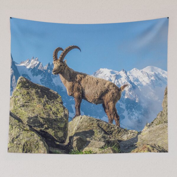Item preview, Alpine Ibex In Aiguilles Rouge French Alps France designed and sold by eclecTEEq.