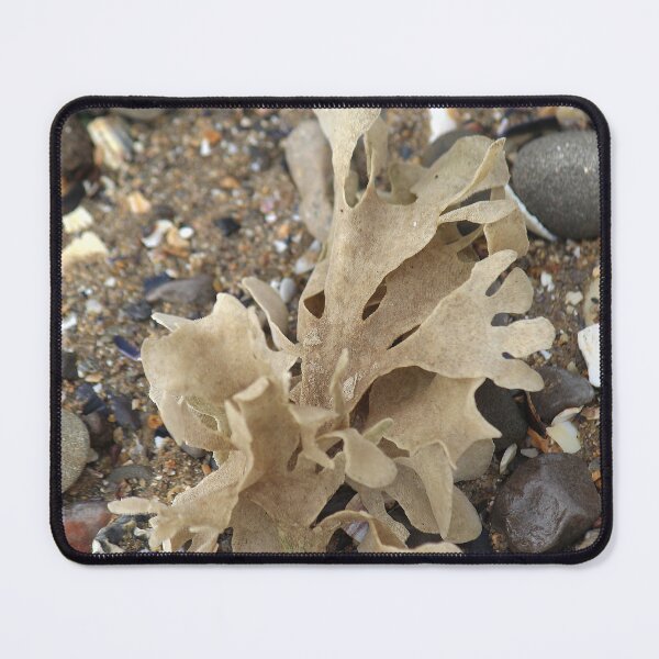 Item preview, Seaweed designed and sold by AnthonyThomas.