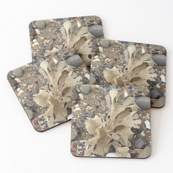 Item preview, Seaweed designed and sold by AnthonyThomas.