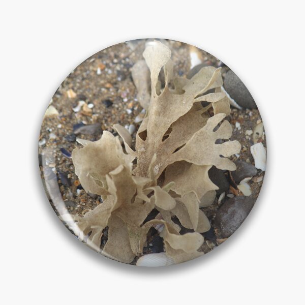 Item preview, Seaweed designed and sold by AnthonyThomas.