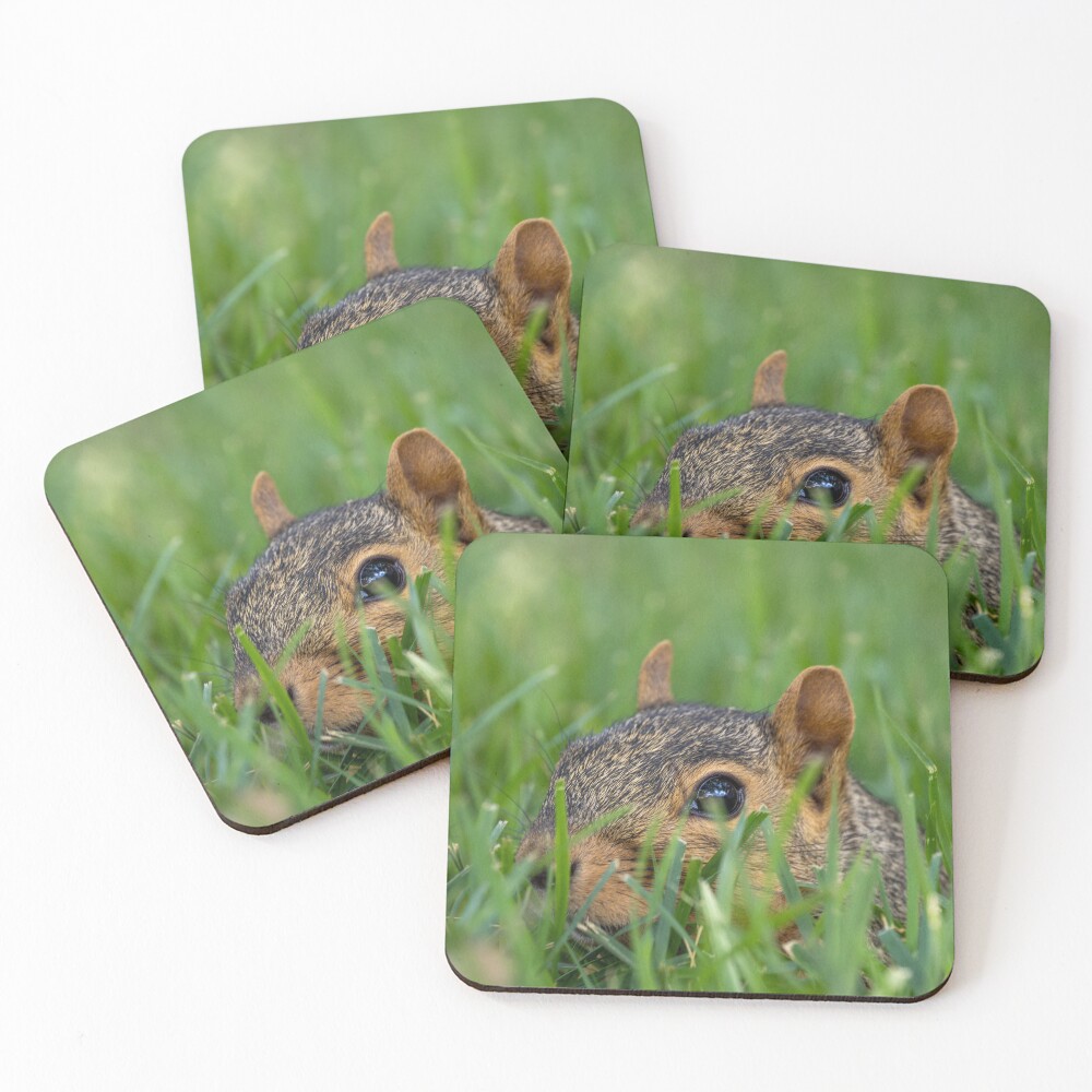 Item preview, Coasters (Set of 4) designed and sold by SoulWindowPhoto.