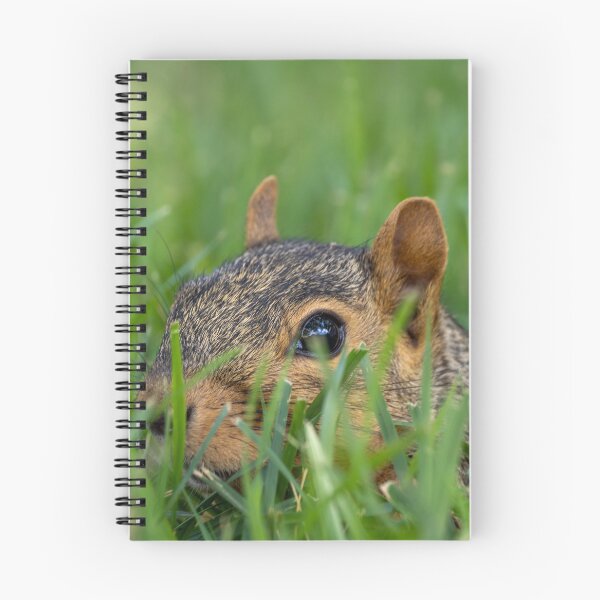 Item preview, Sneaking designed and sold by SoulWindowPhoto.