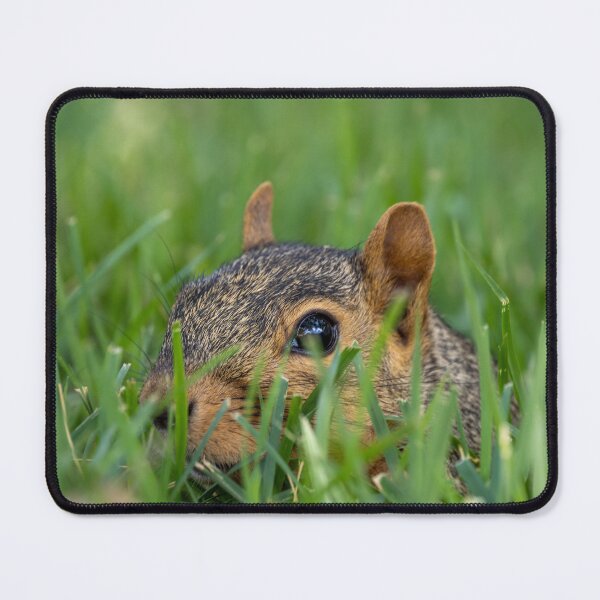 Item preview, Sneaking designed and sold by SoulWindowPhoto.