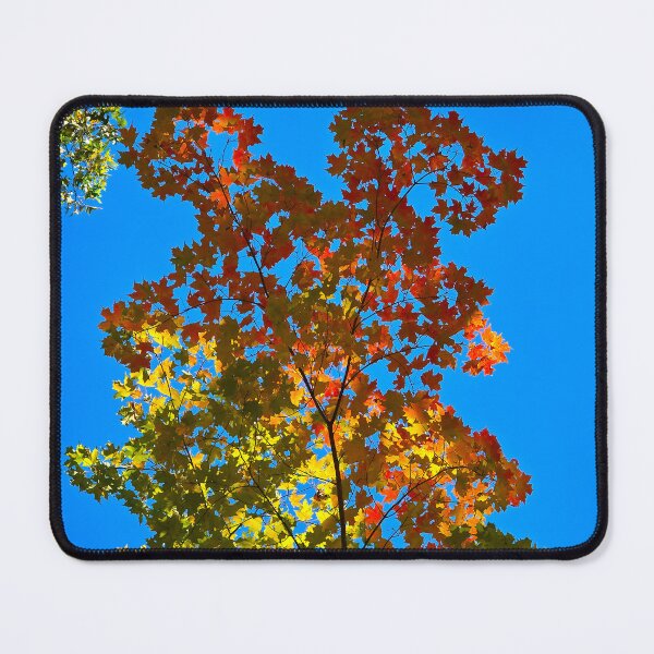 Item preview, Fractal Fall designed and sold by bjtomiko.