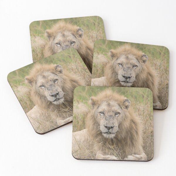 Item preview, Casper, the White King — Ghost of the Savuti Grasslands designed and sold by DavideAntoniani.